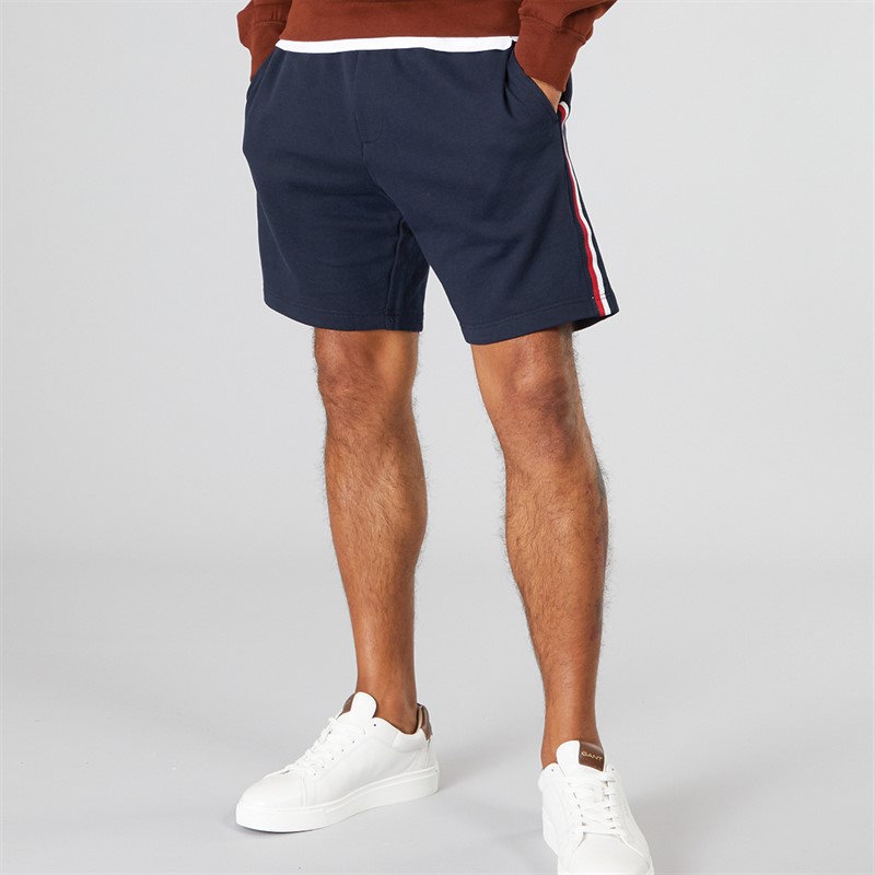 Mens Global Stripe Shorts Desert Sky