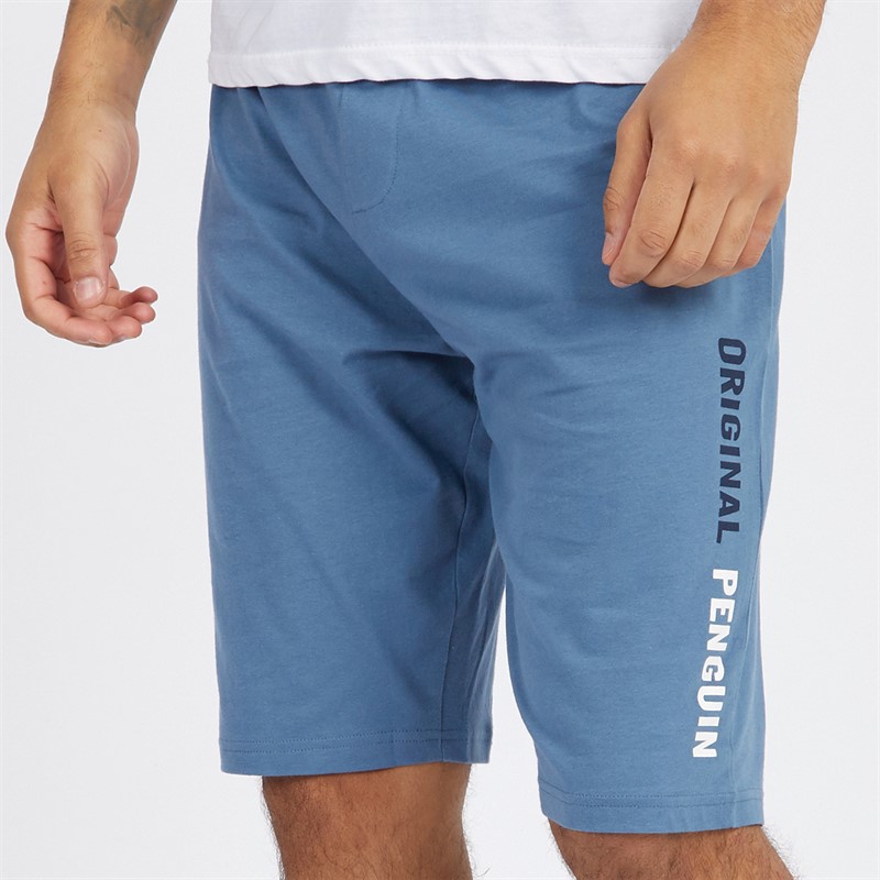 Mens Jersey Shorts Blue