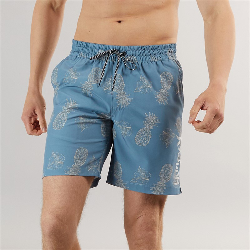 Mens Pineapple Swimshorts Blue/Brown
