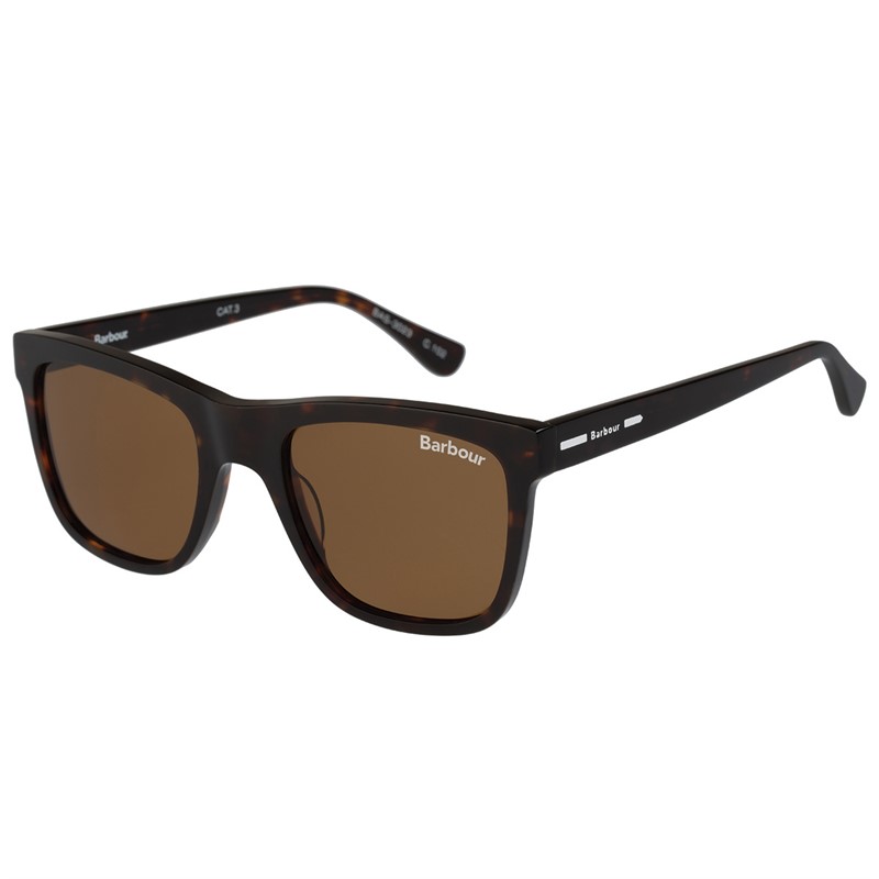 Mens Sunglasses Tort