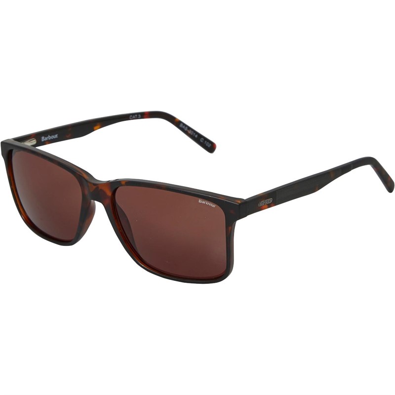 Mens Sunglasses Tortoise
