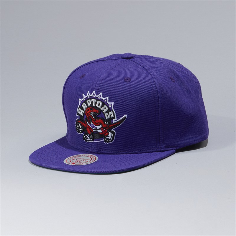 Toronto Raptors NBA Team Ground Snapback Cap Purple/Purple/Green
